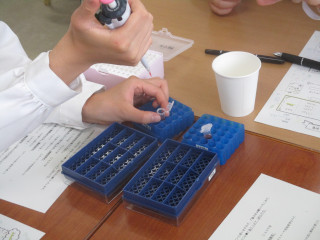 PCR